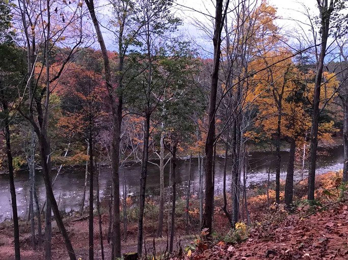 Tiny Houses (South Cairo, New York, United States)