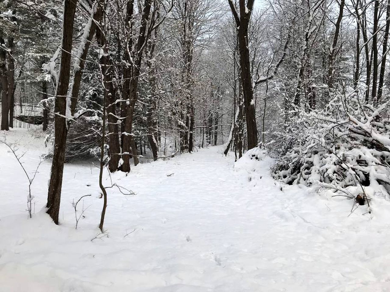 Fabulous Tiny House Rental Perfect for a Family Getaway near Catskill, New York