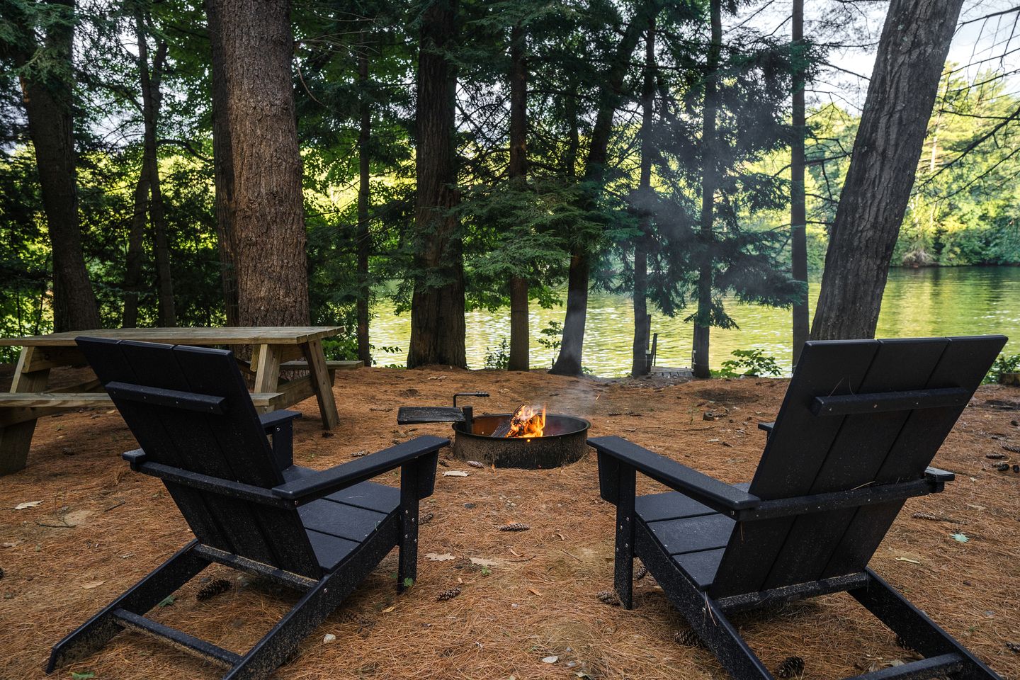 Secluded, Dog Friendly Tiny House on the Hudson River, near Saratoga Springs
