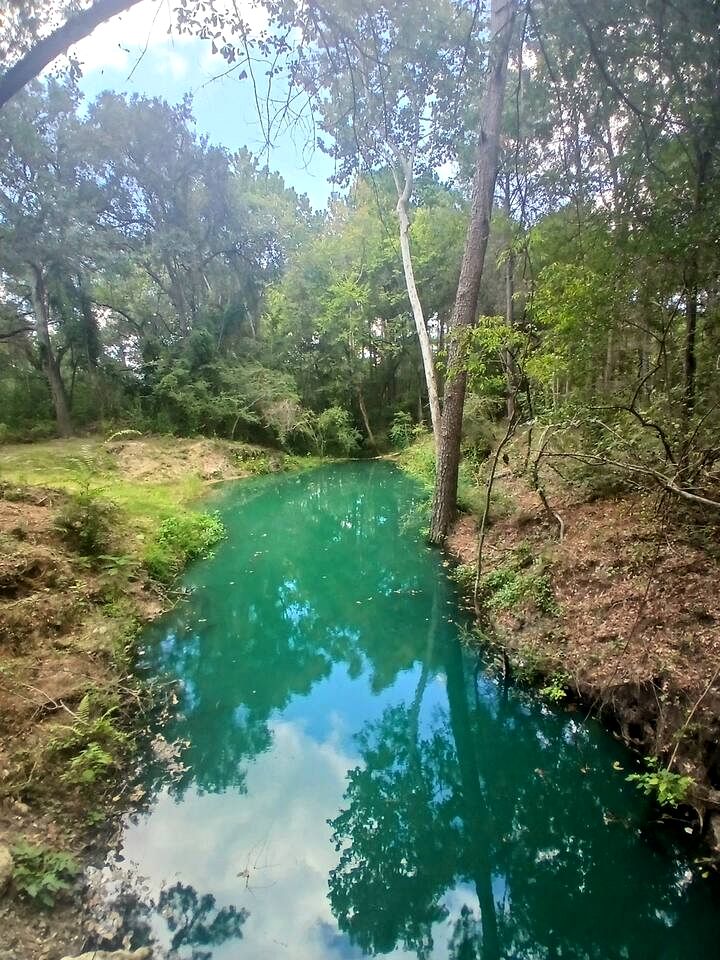 Tranquil Creekside Container with Private Waterfall Near Renaissance Festival | Magnolia, Texas