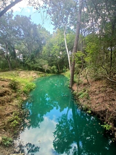 Vacation Rentals (United States of America, Grimes County, Texas)