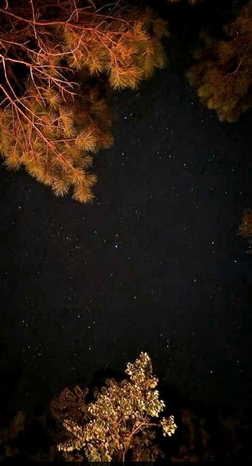 Tranquil Creekside Container with Private Waterfall Near Renaissance Festival | Magnolia, Texas