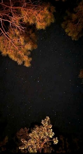 Vacation Rentals (United States of America, Grimes County, Texas)