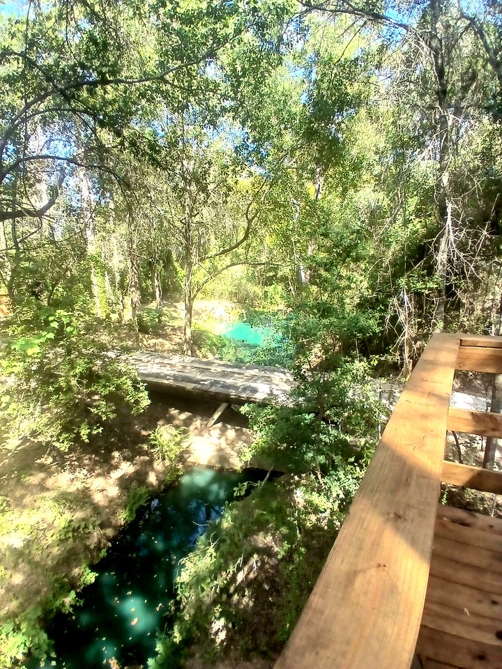 Tranquil Creekside Container with Private Waterfall Near Renaissance Festival | Magnolia, Texas