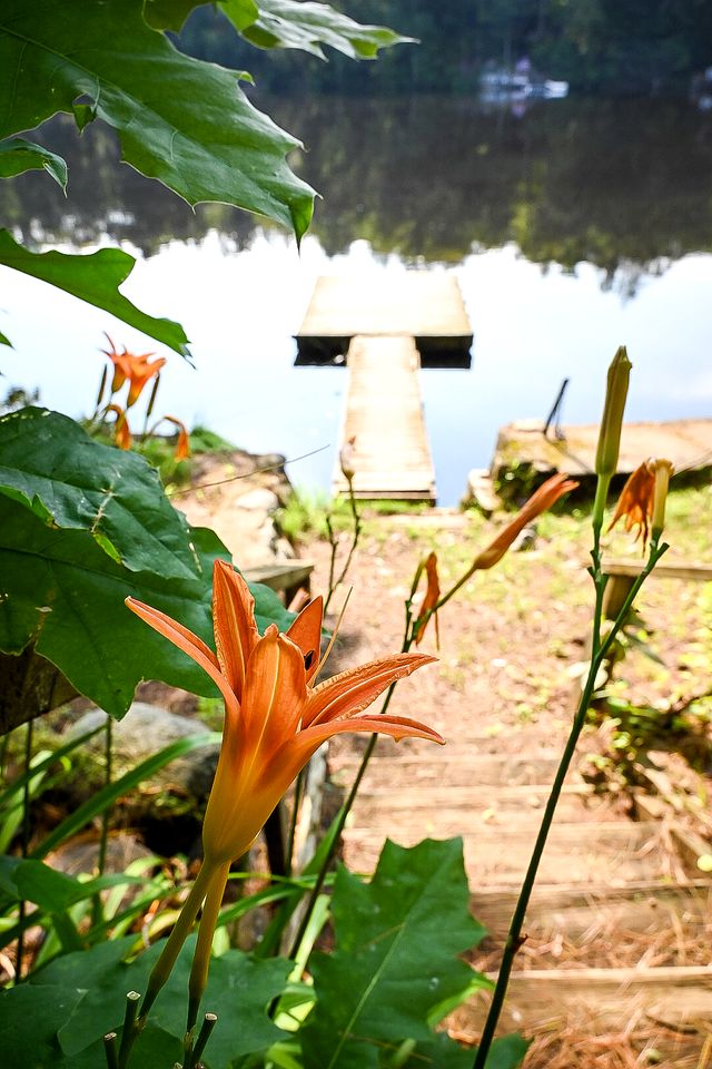 Stunning Waterfront Cabin with Private Dock Near Saratoga & Lake George | Corinth, New York