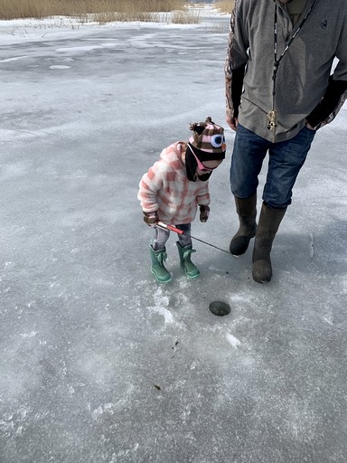 Cabins (United States of America, Au Gres, Michigan)