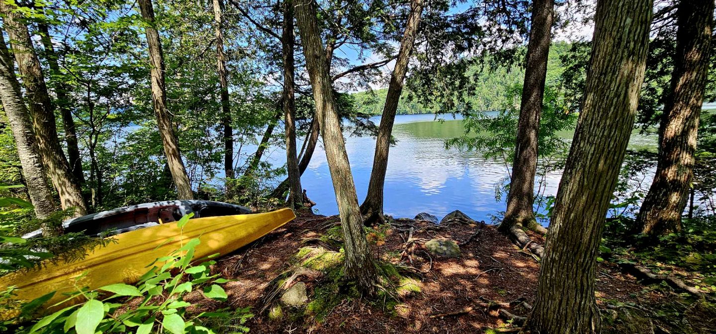 Waterfront Cabin with Private Deck Loaded with Kayaks in Maine