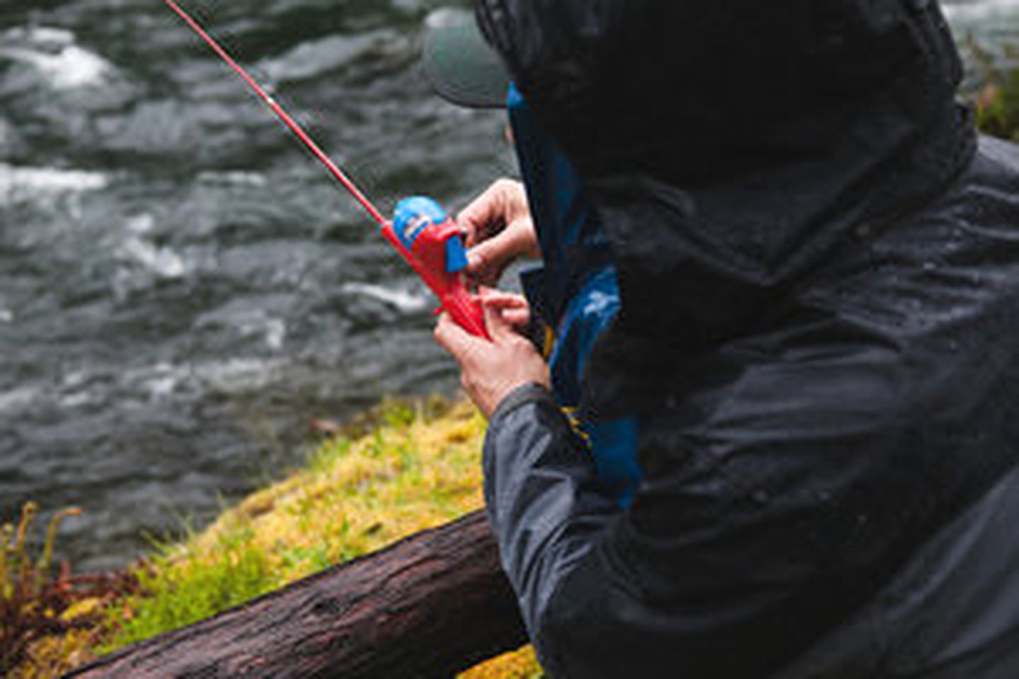 Cozy Cabin Getaway in the Woodlands near the Western Cascades of Oregon