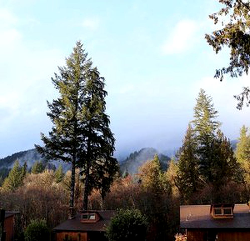Cozy Cabin Getaway in the Woodlands near the Western Cascades of Oregon