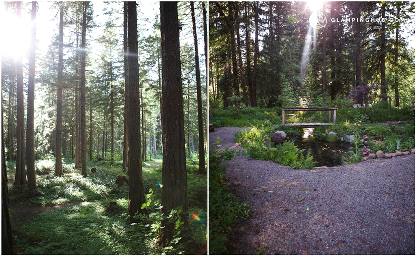 Charming Cabin Rental with Lovely Forest Views in Blue River, Oregon