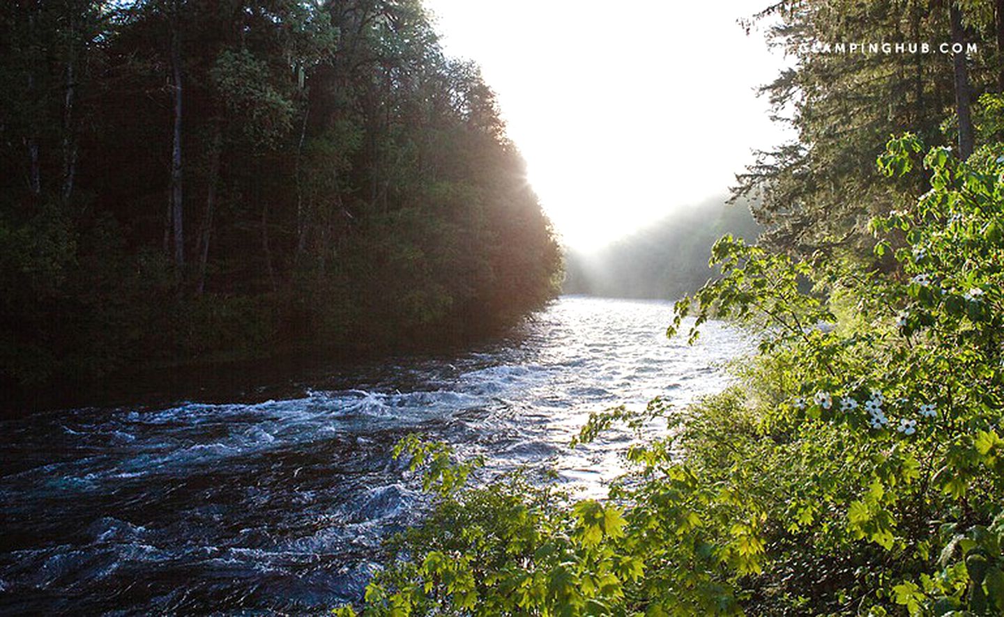 Charming Cabin Rental with Lovely Forest Views in Blue River, Oregon