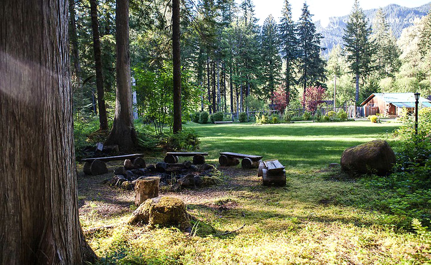 Charming Cabin Rental with Lovely Forest Views in Blue River, Oregon