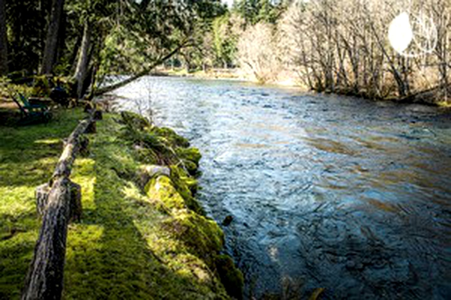 Charming Cabin Rental with Lovely Forest Views in Blue River, Oregon