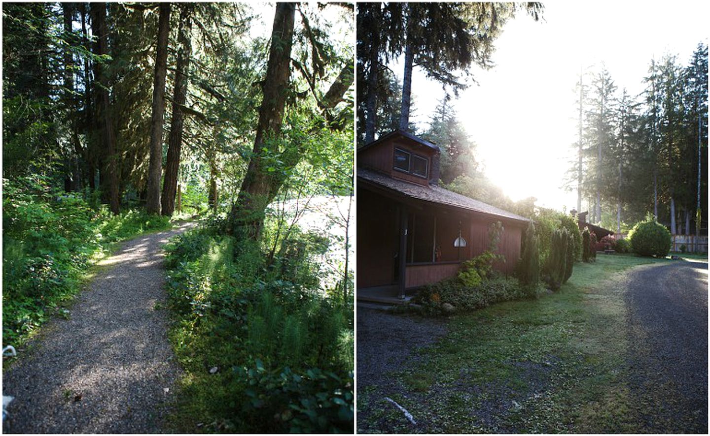 Picturesque Cabin Rental for a Vacation on the Mckenzie River in Oregon