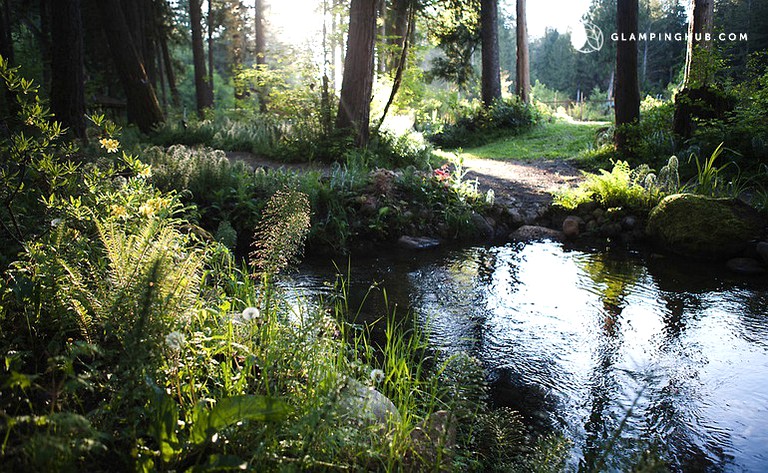 Cabins (McKenzie Bridge, Oregon, United States)