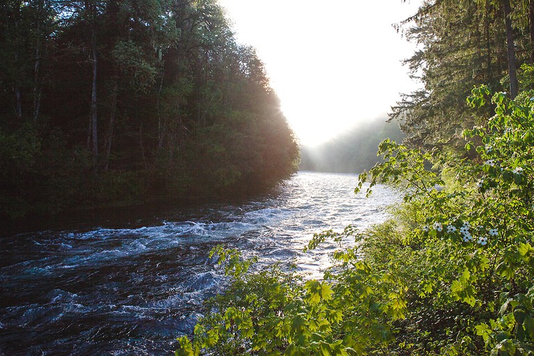 Cabins (McKenzie Bridge, Oregon, United States)