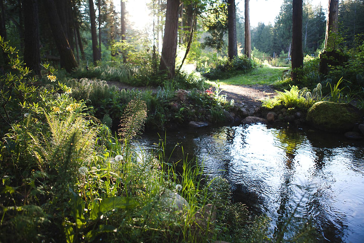 Rustic River Cabin Rental with Lush Woodland Views near Eugene, Oregon