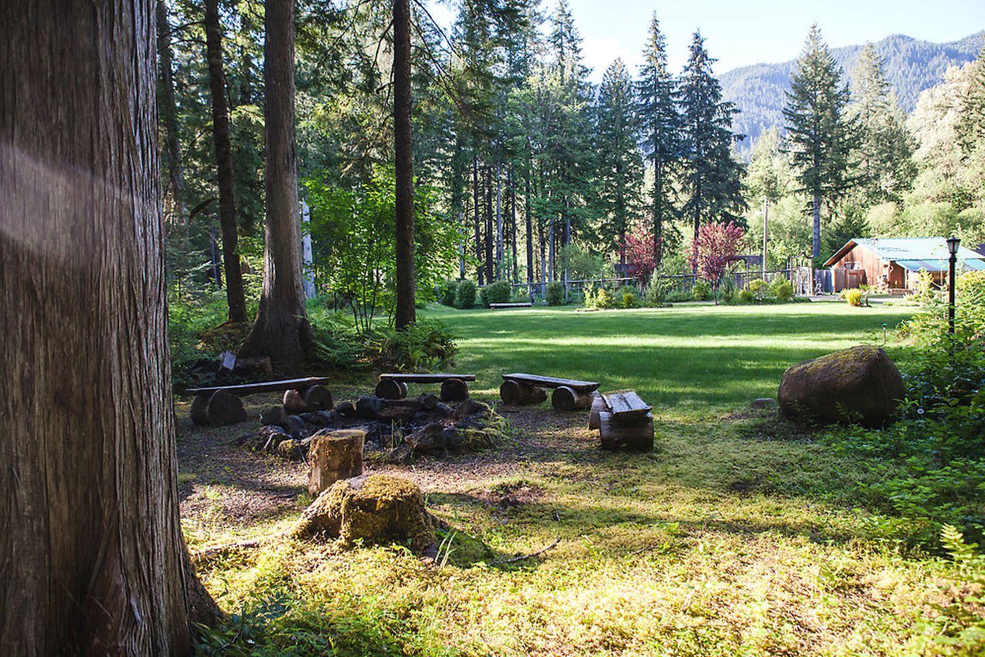 Rustic River Cabin Rental with Lush Woodland Views near Eugene, Oregon