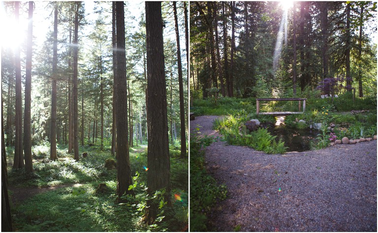 Cabins (McKenzie Bridge, Oregon, United States)