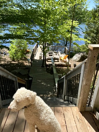 Cottages (Canada, Val des Monts, Quebec)