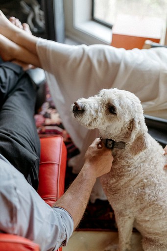 Cottages (Canada, Val des Monts, Quebec)