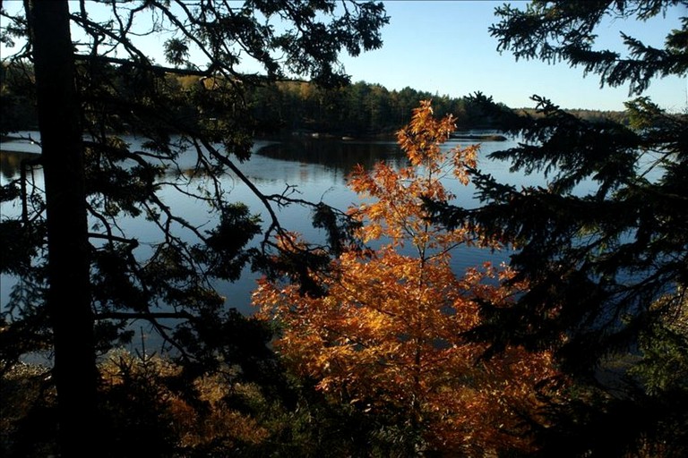 Cottages (Sullivan, Maine, United States)