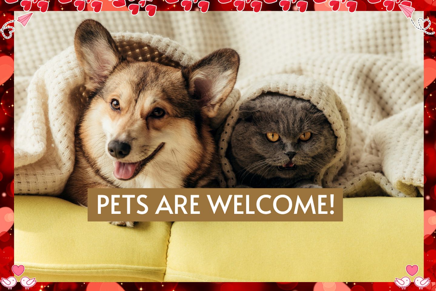 Waterfront Pet Friendly Cabin on Glover River with Hot Tub near Broken Bow, Oklahoma