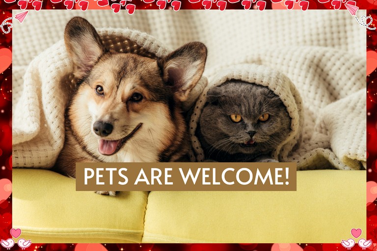 Cabins (United States of America, Broken Bow, Oklahoma)