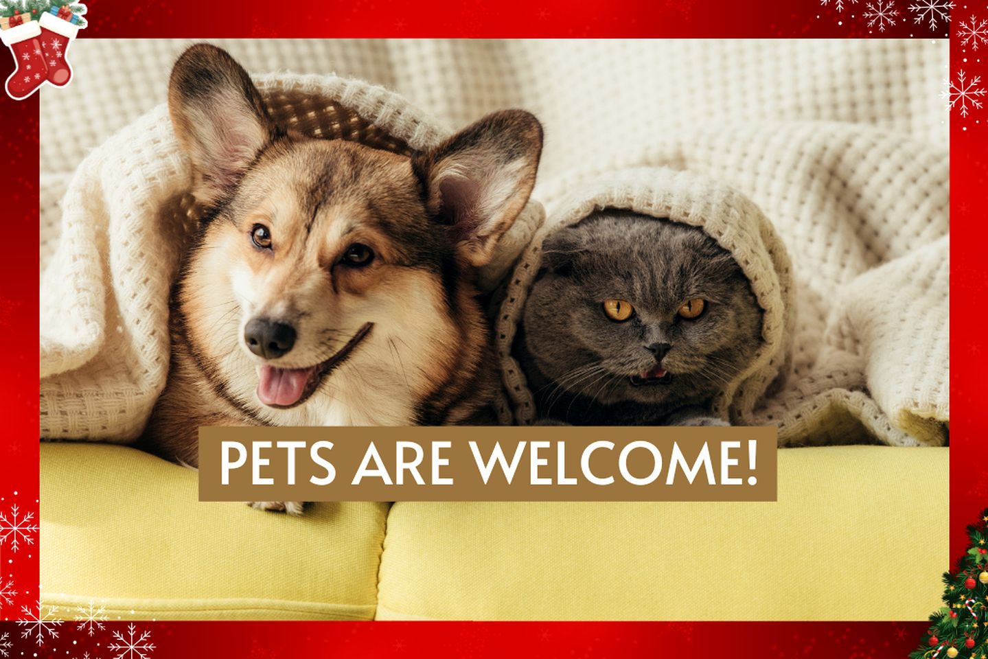 Waterfront Pet Friendly Cabin on Glover River with Hot Tub near Broken Bow, Oklahoma