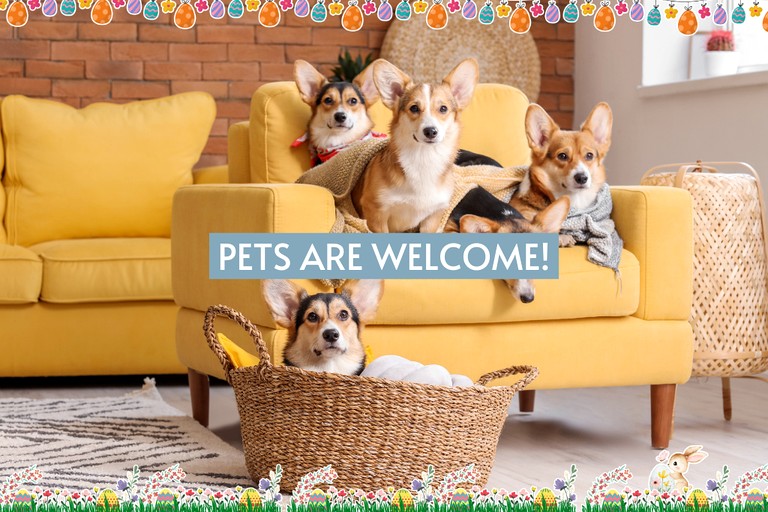 Cabins (United States of America, Broken Bow, Oklahoma)