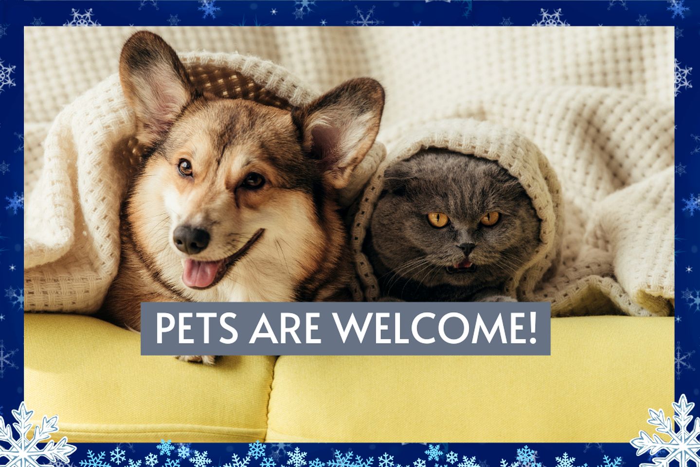 Waterfront Pet Friendly Cabin on Glover River with Hot Tub near Broken Bow, Oklahoma