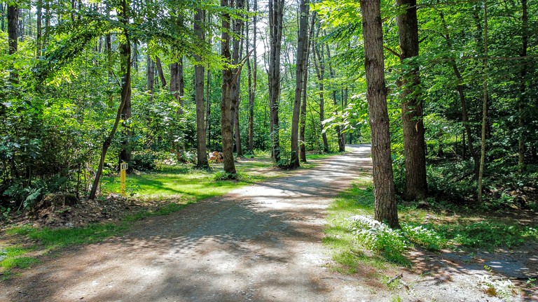 Cabins (United States of America, Corinth, New York)