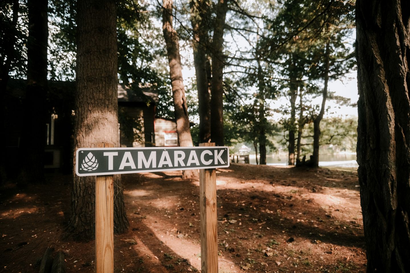 Rustic, Pet Friendly Cabin on the Hudson River, Perfect for a Glamping Weekend in the Adirondacks