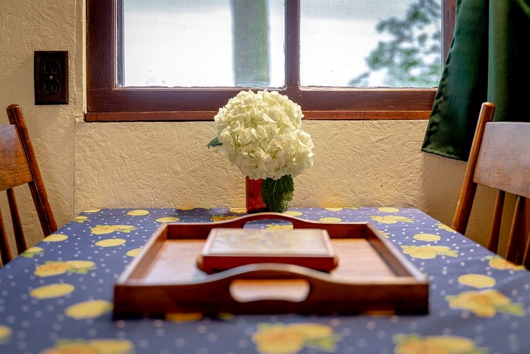 Tiny Houses (Canada, Leamington, Ontario)