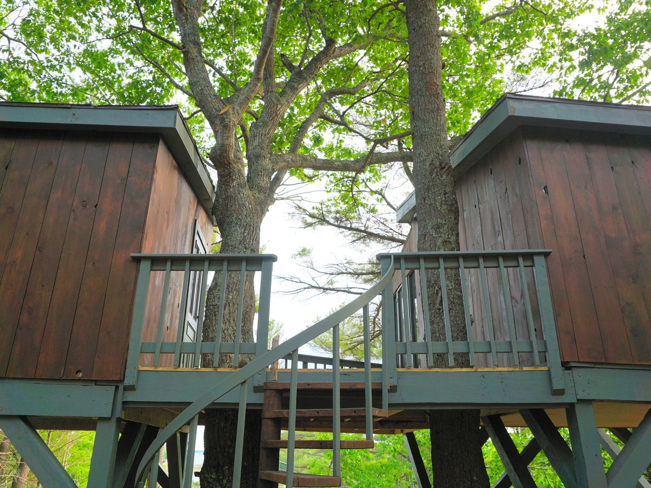 Tree House Rental Brunswick, Maine Glamping Hub