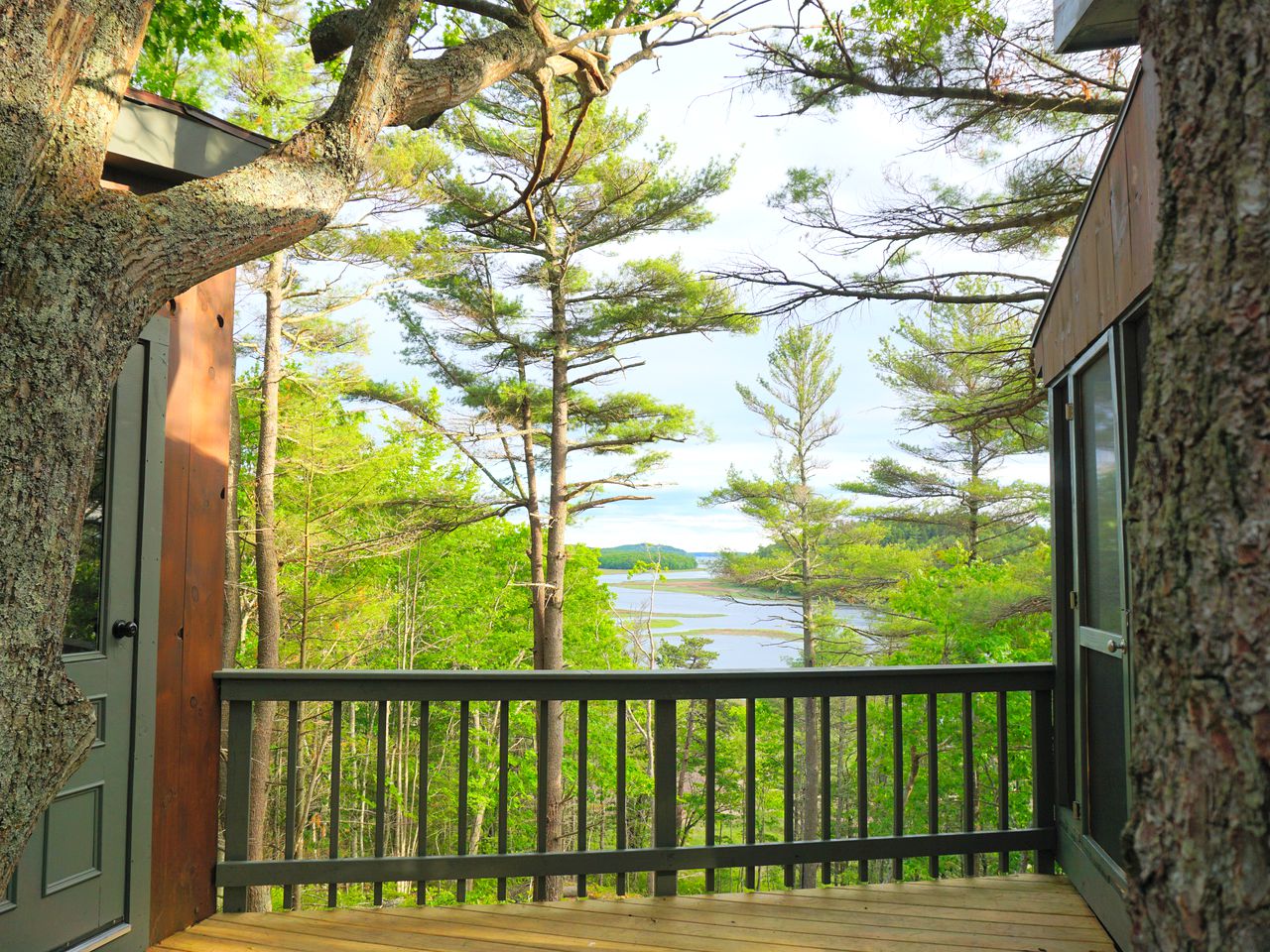Tree House Rental Brunswick, Maine Glamping Hub