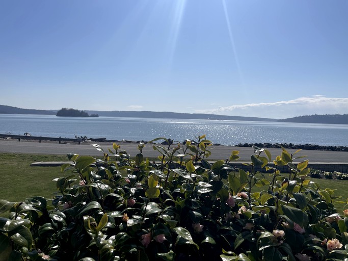 Vacation Rentals (United States of America, La Conner, Washington)