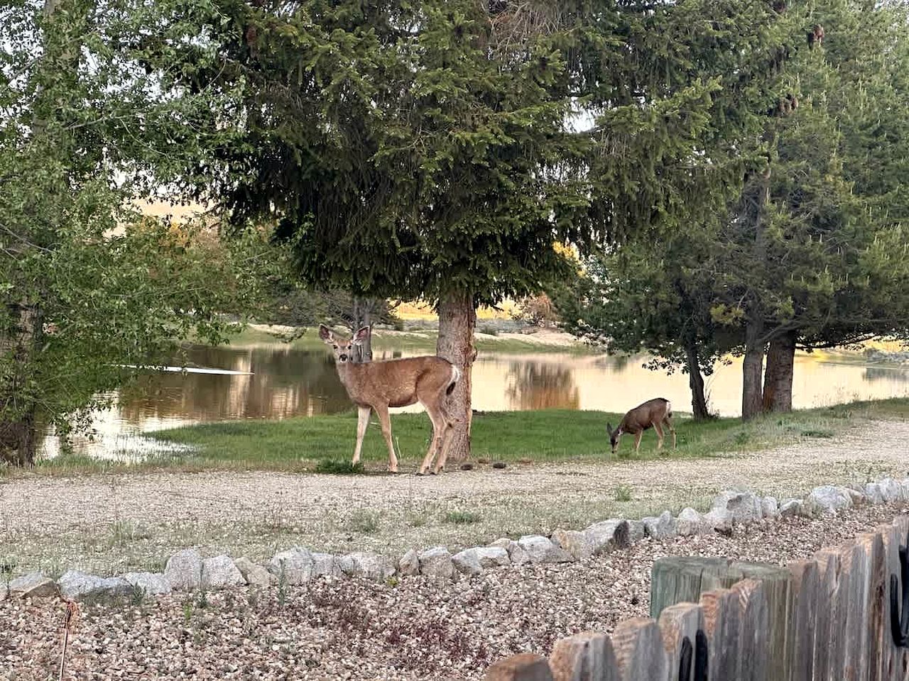 Pet-Friendly Riverfront Getaway with Outdoor Entertaining & Bonus Camper in Cascade, Idaho