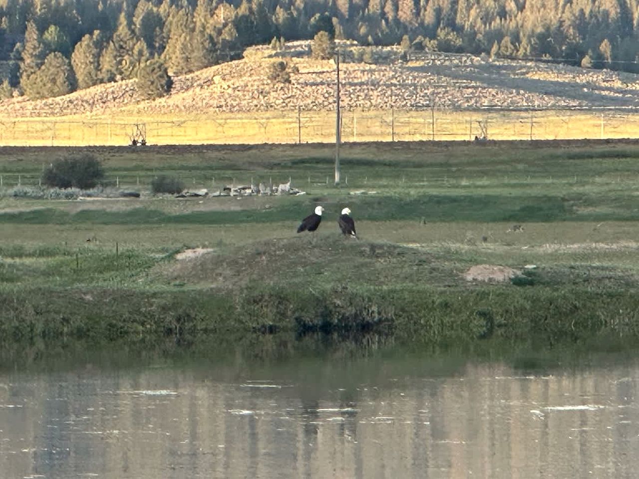 Pet-Friendly Riverfront Getaway with Outdoor Entertaining & Bonus Camper in Cascade, Idaho