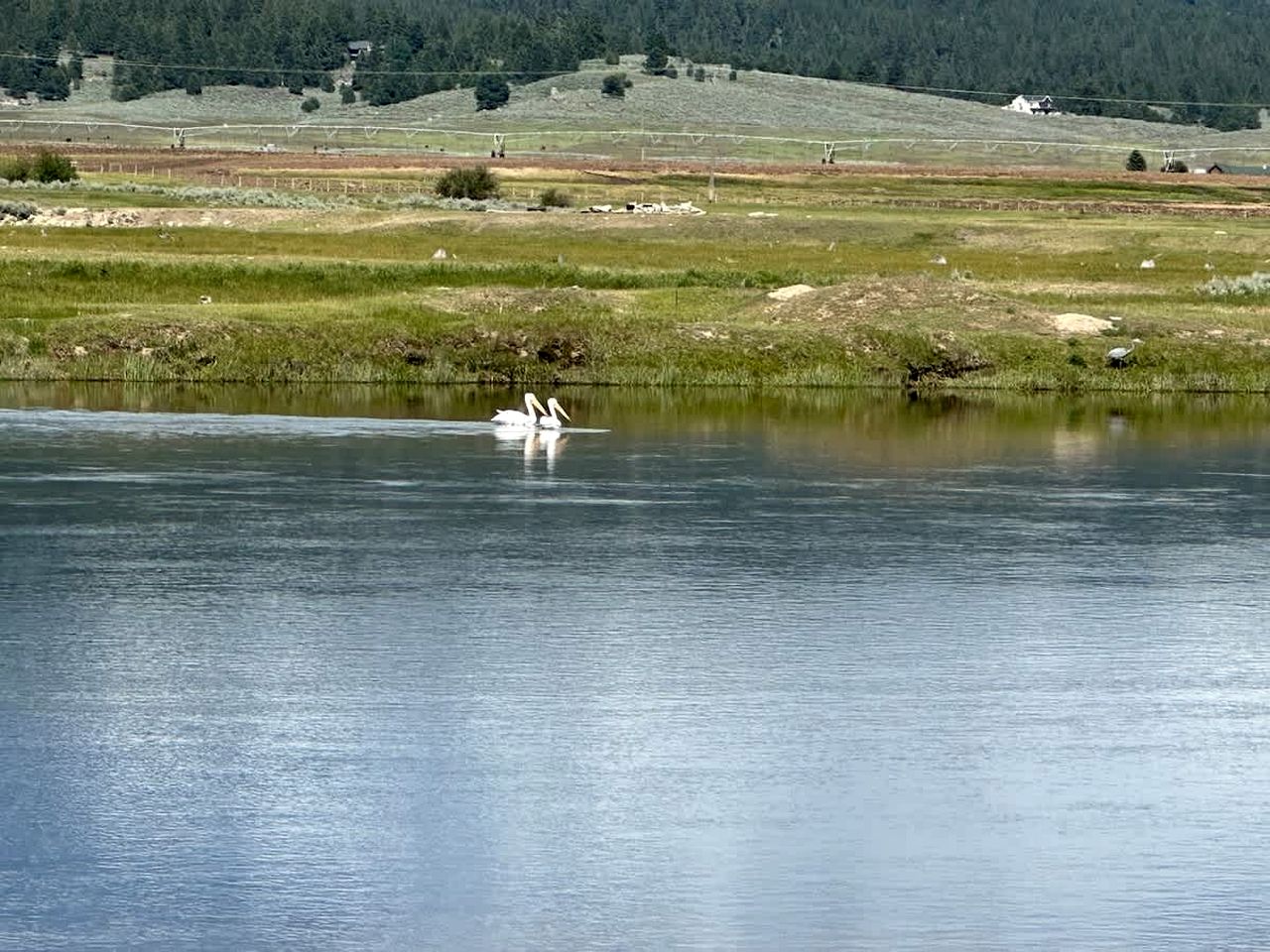 Pet-Friendly Riverfront Getaway with Outdoor Entertaining & Bonus Camper in Cascade, Idaho