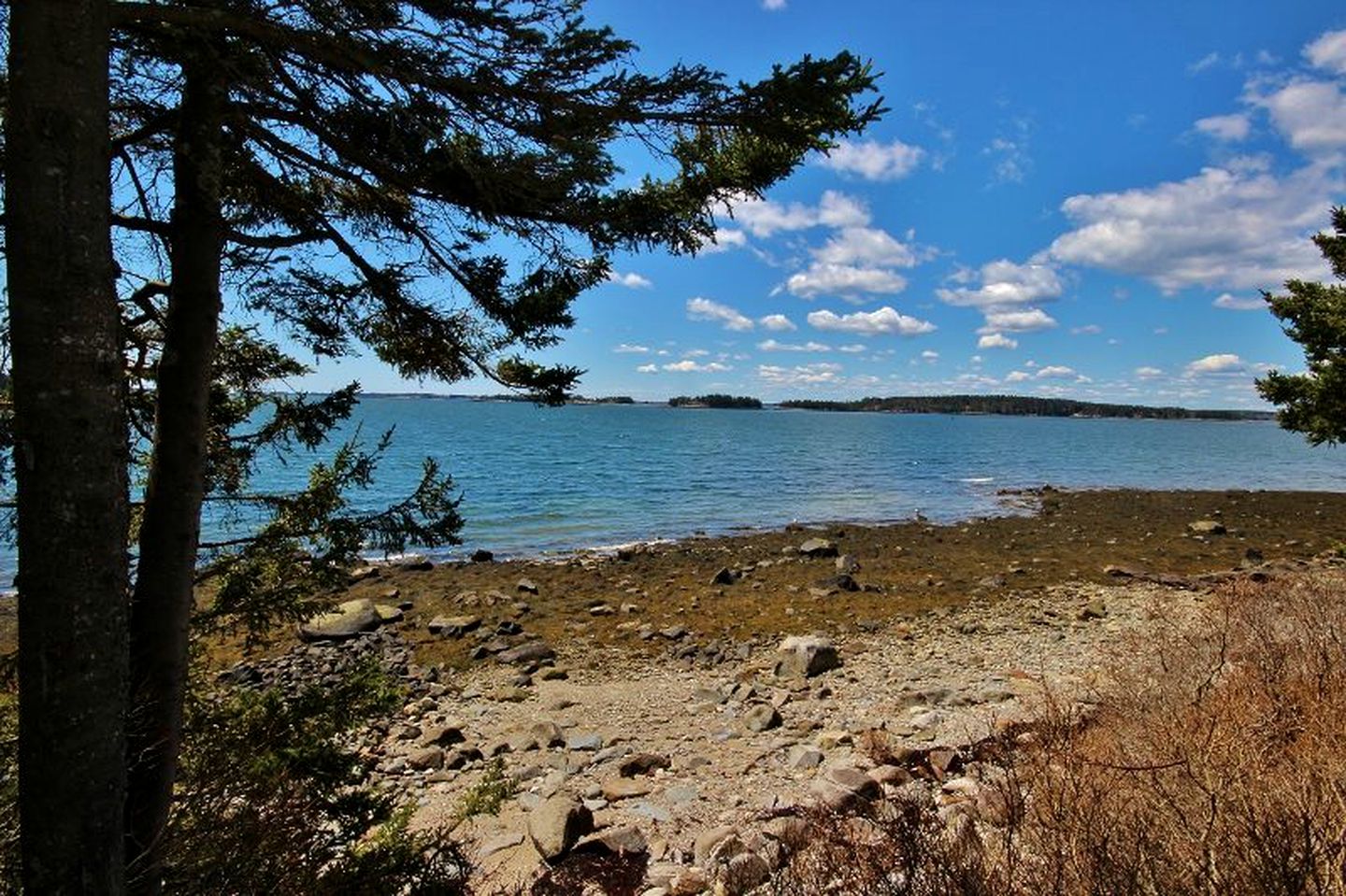 Cottage Rental in Port Clyde, Maine