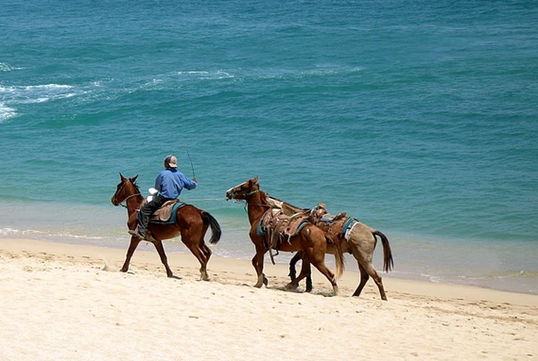 Safari Tents (Sumba Island, East Nusa Tenggara, Indonesia)