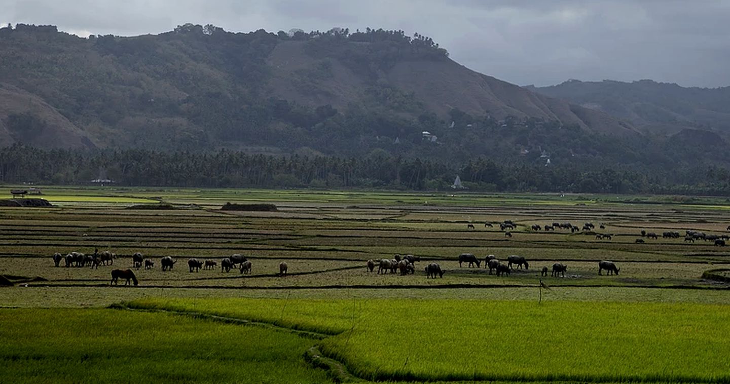 Luxury Safari Tent Rentals for Couples and Families on Sumba Island, Indonesia