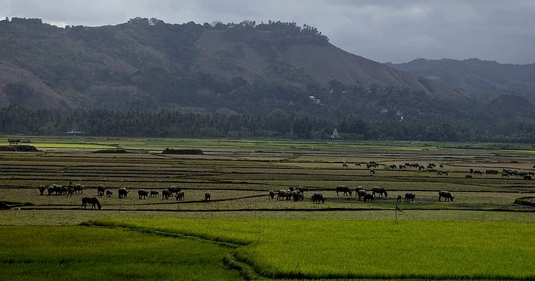 Safari Tents (Sumba Island, East Nusa Tenggara, Indonesia)