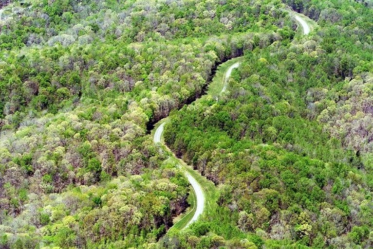 Vacation Rentals (United States of America, Franklin, Tennessee)