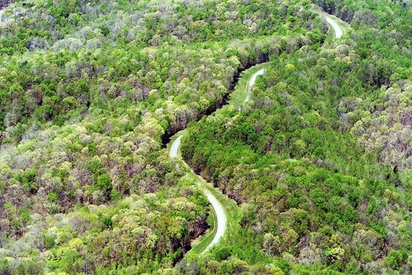 Rustic Family Cottage with Panoramic Nature Views in Tennessee