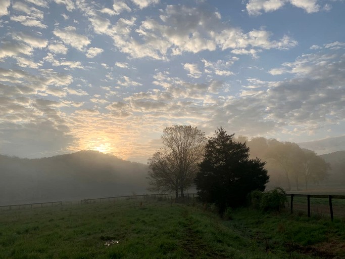 Vacation Rentals (United States of America, Franklin, Tennessee)