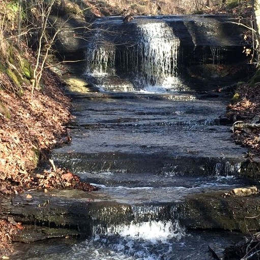 Vacation Rentals (United States of America, Franklin, Tennessee)