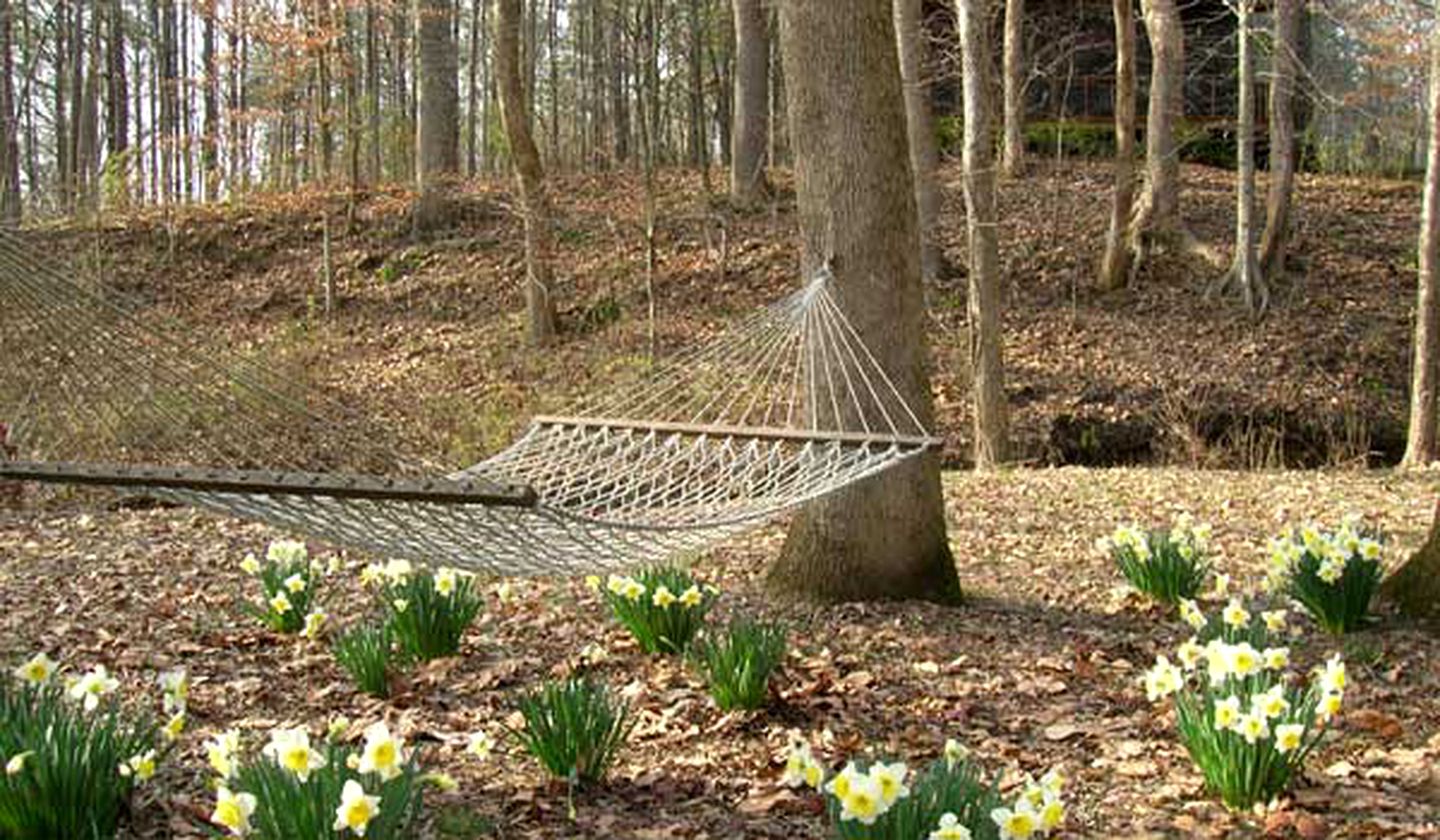 Secluded Cabin Rental in the Smoky Mountains, Tennessee
