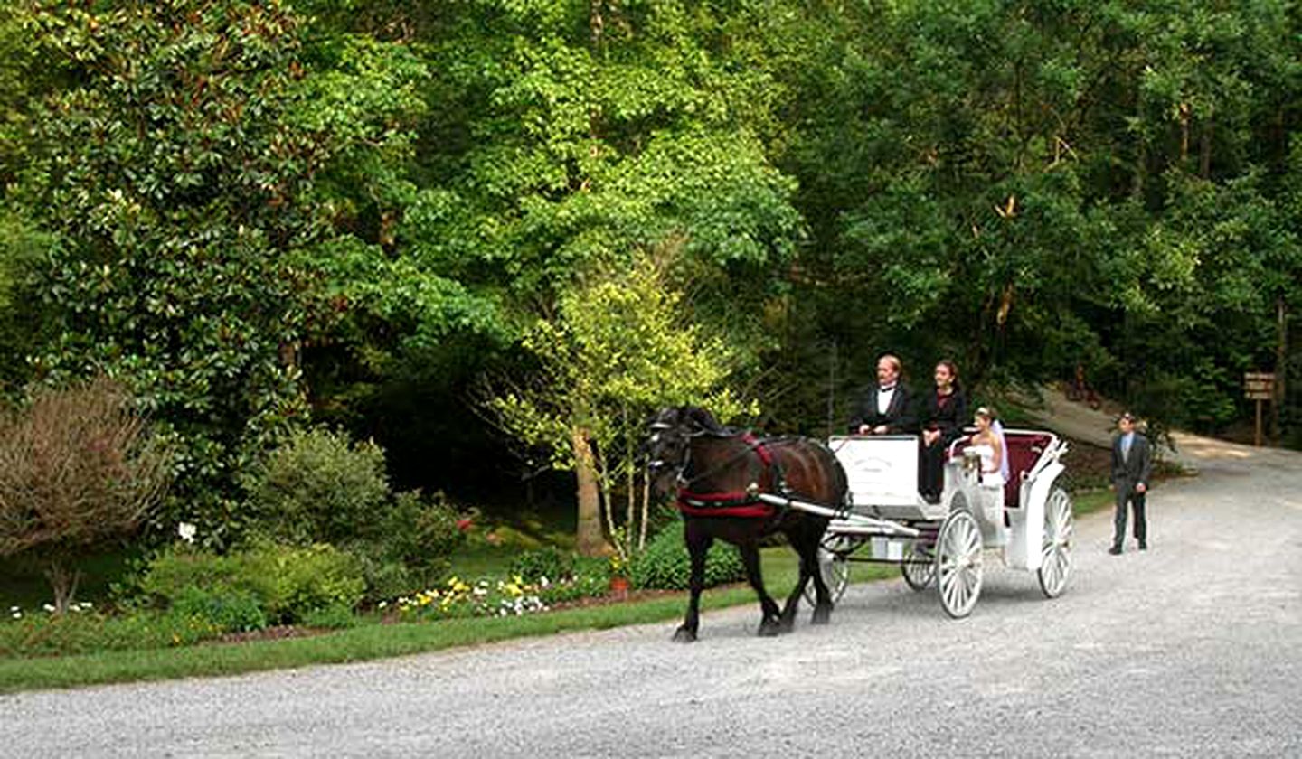 Secluded Cabin Rental in the Smoky Mountains, Tennessee